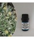 PAGAIOILS Αιθέριο Έλαιο Αρτεμισία-Αψιθιά, 5ml