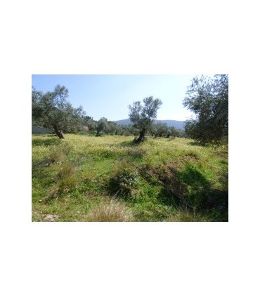 Μεγάλο οικόπεδο κοντά στο Ναύπλιο