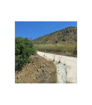 Ηλιόλουστο οικόπεδο στο νησί της Κρήτης