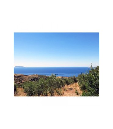 Οικόπεδο σε ειδυλλιακή τοποθεσία στην Κρήτη