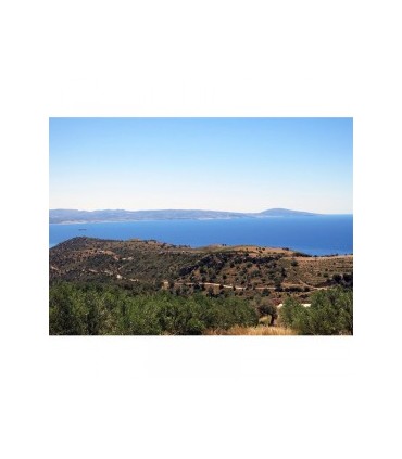 Οικόπεδο σε ειδυλλιακή τοποθεσία στην Κρήτη