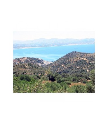 Οικόπεδο σε ειδυλλιακή τοποθεσία στην Κρήτη