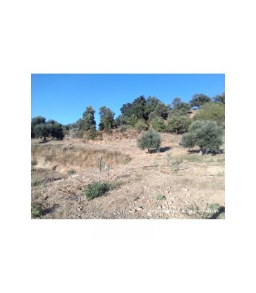 Μεγάλο οικόπεδο σε ήσυχη τοποθεσία κοντά στην πόλη του Ρεθύμνου