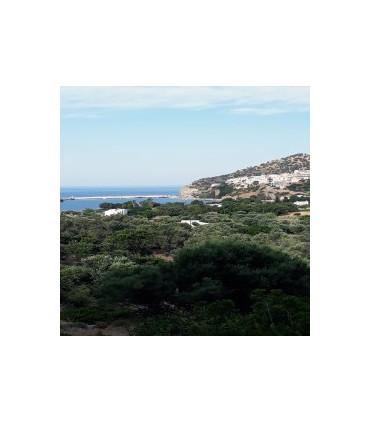 Μεγάλο οικόπεδο στην Κρήτη