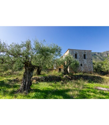 Παλιά πέτρινη κατοικία στην Πελοπόννησο